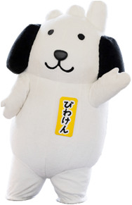 びわけんもくるよ!